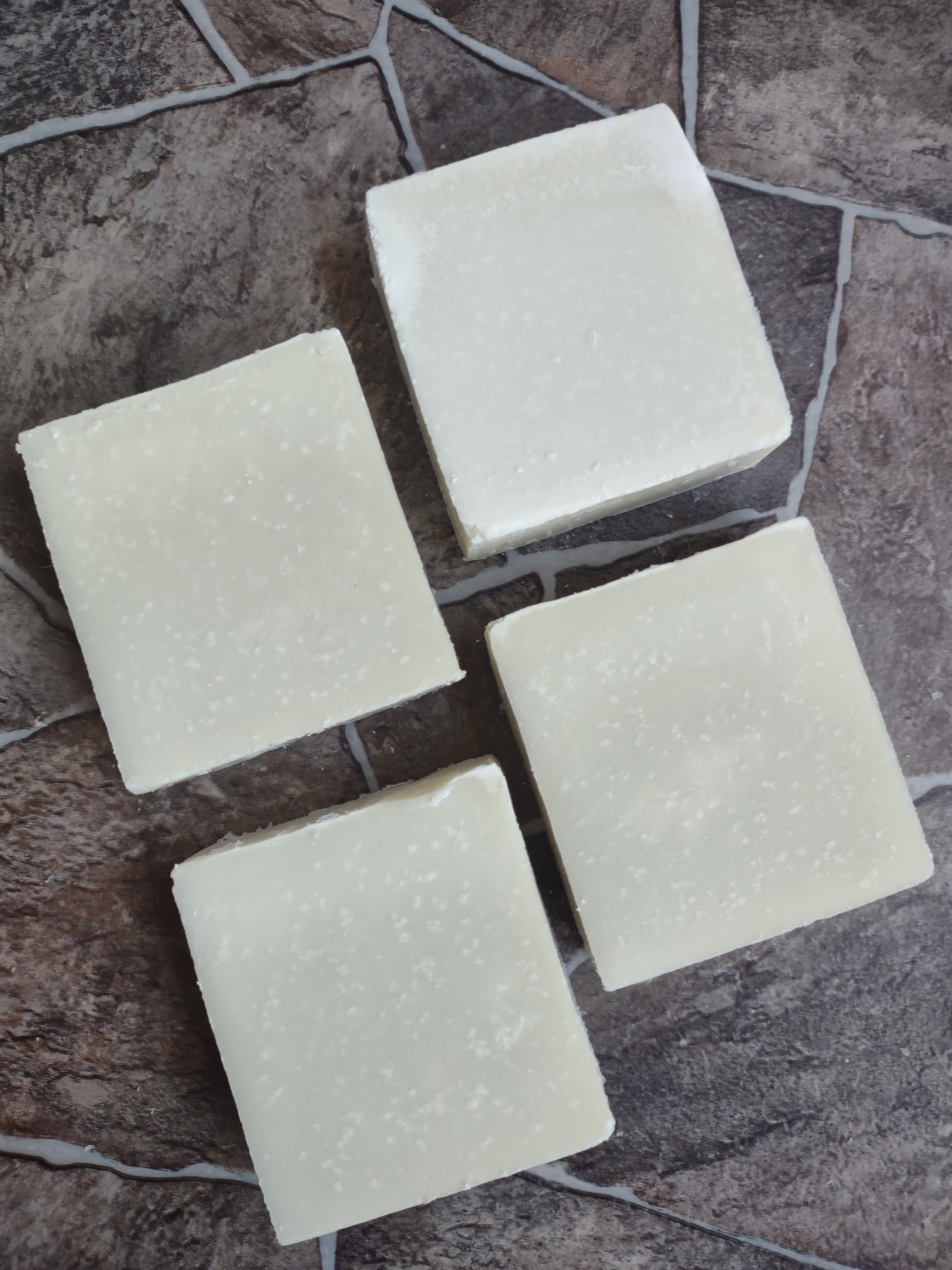 ARSOA　SAUSSUREA Sarah's Soap·A·Saurus l Skincare by Hippies, for Hippies